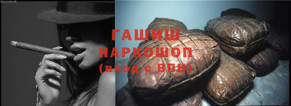 индика Аркадак