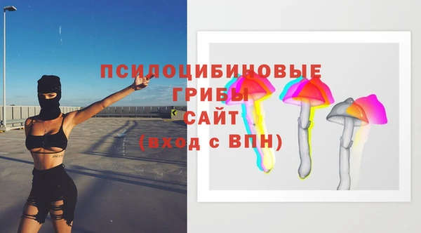 индика Аркадак