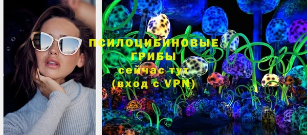 герыч Алексин
