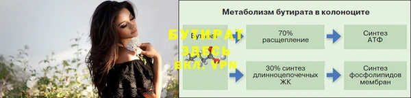 индика Аркадак
