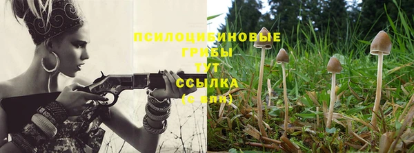 индика Аркадак