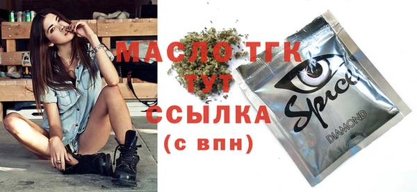 индика Аркадак