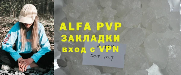 индика Аркадак