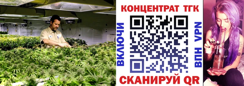 сколько стоит  Судогда  Дистиллят ТГК жижа 