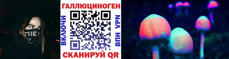 Галлюциногенные грибы Psilocybe  mega как войти  Судогда 